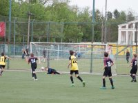 IMG_4529